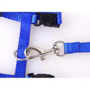 Peitoral Com Guia Para Gatos Pet Ajustável-Cores Sortidas