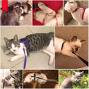 Peitoral Com Guia Para Gatos Pet Ajustável-Cores Sortidas