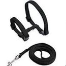 Peitoral com Guia para Gatos Ajustável