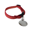 Coleira Anti Enforcamento com Identificação