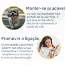 Kit 10 Brinquedos Mordedor Cachorro Filhote Anti Estress Pet Ranger os dentes Limpeza da boca