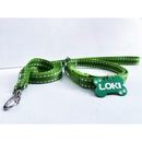 Coleira e Guia para Cachorro com Plaquinha de Identificação