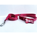 Coleira e Guia para Cachorro com Plaquinha de Identificação