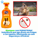 Kit Shampoo Anti Pulgas e Carrapatos + Condicionador Desembaraçador para Cachorro e Gato Genial Pet
