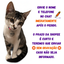 Coleira para Gato Anti Enforcamento com Identificação Nome e Telefone