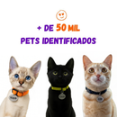 Coleira para Gato Anti Enforcamento com Identificação Nome e Telefone