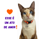 Coleira para Gato Anti Enforcamento com Identificação Nome e Telefone