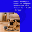 Bola Brinquedo Bolinha Para Gato Cachorro Auto Magico Elétrico Pets Usb Recarregável
