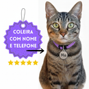 Coleira para Gato Anti Enforcamento com Identificação Nome e Telefone