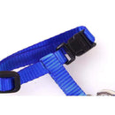 Peitoral Com Guia Para Gatos Pet Ajustável-Cores Sortidas