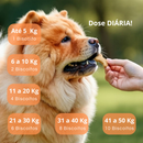 Suplemento Vitamina PELUDINHOS p/ Cachorro PELO e DERME Saboroso Dermatite Queda Derme Brilho Formato de Ossinho